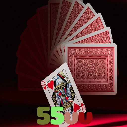  55vv