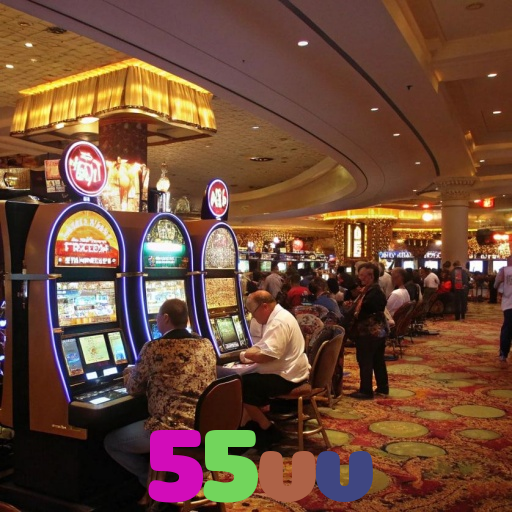  55vv