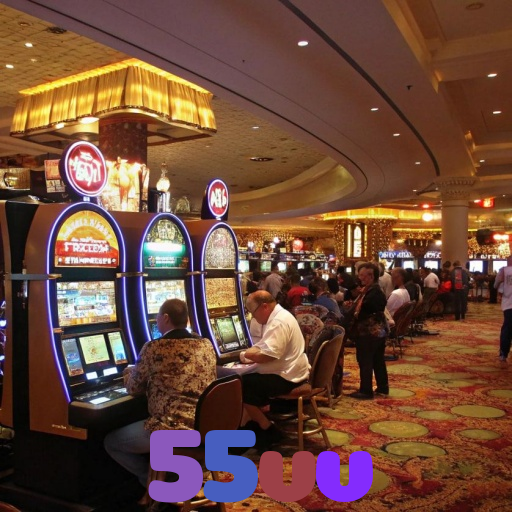  55vv