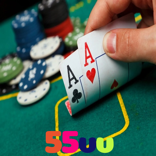  55vv