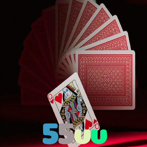  55vv