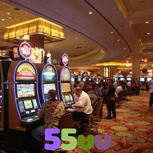  55vv