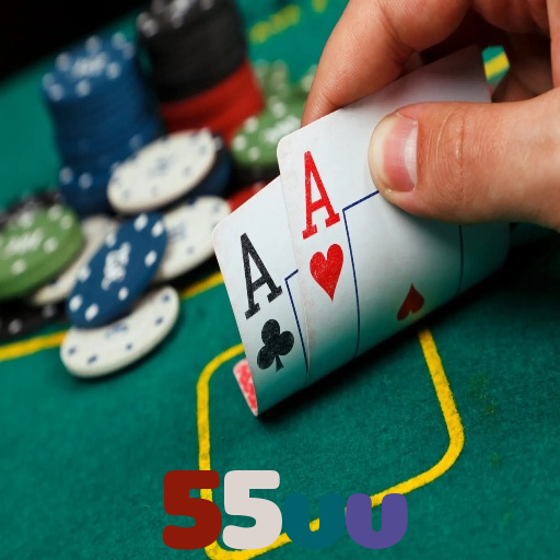  55vv