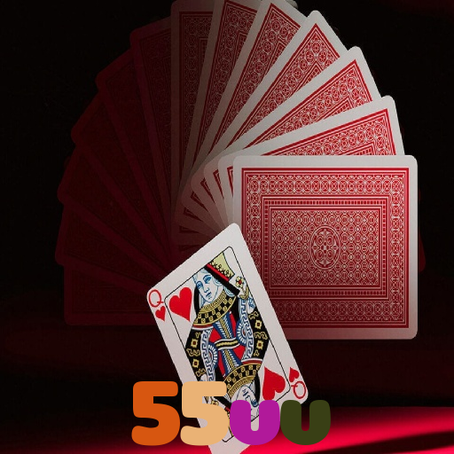  55vv
