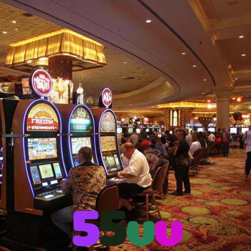  55vv